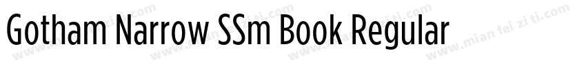 Gotham Narrow SSm Book Regular字体转换